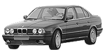 BMW E34 DF176 Fault Code